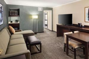Suite with One King Bed, One Queen Sofa Bed and Shower room in Embassy Suites Tysons Corner