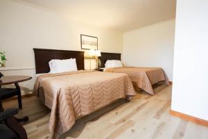 Queen Room with Two Queen Beds room in Chatham Travel Lodge