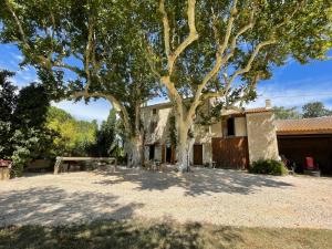 Maisons de vacances Gite Mas provencal : photos des chambres