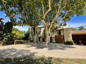 Maisons de vacances Mas provencal Alpilles Camargue : photos des chambres