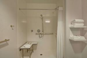 King Room with Roll-In Shower - Disability Access room in Hampton Inn & Suites Newark-Harrison-Riverwalk