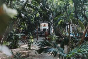 Hotel Casa Barbara Holbox