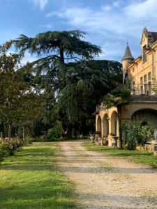 B&B / Chambres d'hotes chateau le perchoir : photos des chambres