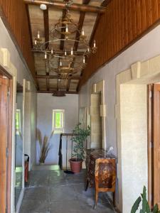 Villas Entre vigne et Camargue : photos des chambres