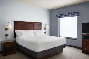 King Studio Suite with Sofa Bed - Non-Smoking room in Hampton Inn & Suites Tulsa South Bixby