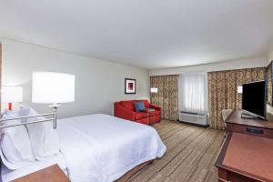 Standard King with Sofa Bed - Non-Smoking room in Hampton Inn & Suites Houston I-10 West Park Row Tx
