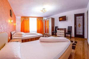 PENSIUNEA MIHAELA-Transalpina