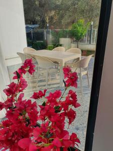 Dreamy luxury duplex villa with a special view and 300 meters of private garden