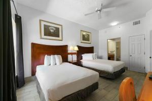 Scottsdale upgraded 1 bd 1 ba 2 Queen Beds - Ubytování bez kategorie ve městě Scottsdale