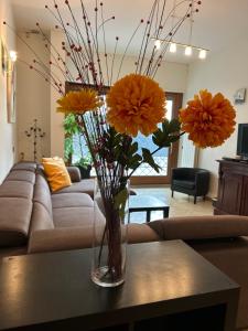 Carpegna Luxury apt with terrace