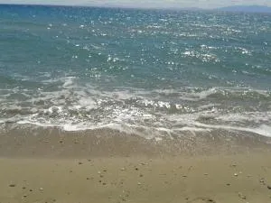 Mouses-X - Néa Goniá