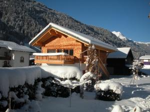Ferienwohnung Chalet Edelweiss Montafon