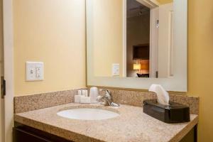 Queen Studio room in TownePlace Suites by Marriott Baton Rouge Gonzales