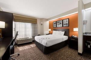 Queen Room - Non-Smoking room in Sleep Inn Kernersville I-40
