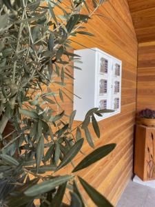 Gut Schlafen - Am Kogl