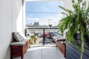 Collingwood Zest Experience the Spirit of Smith St