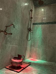 Appartements Suite spa jaccuzi prive : photos des chambres