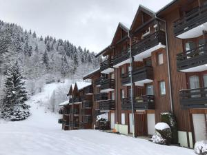 Appartements Studio Morzine, 1 piece, 4 personnes - FR-1-754-1 : photos des chambres