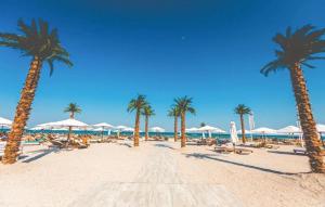 White Tower Mamaia Studio 806