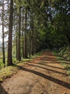 B&B / Chambres d'hotes Chailland Home with a view : photos des chambres