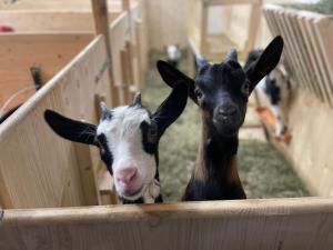 Kitzlochklammblick Hof