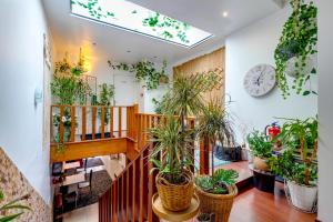 Garden in Town Hostel