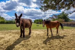 La Maison du Bois Brûlé 2 - Avec piscine partagée