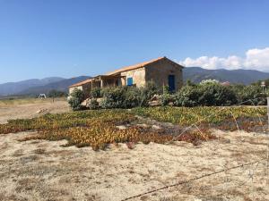 Maisons de vacances Bergerie entierement renovee posee sur la plage. : photos des chambres