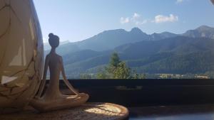 2 Łączone Apartamenty z tarasem i balkonem - Butorówka, Kościelisko - Zakopane