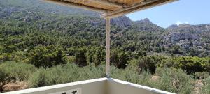 Reisis Family Residence