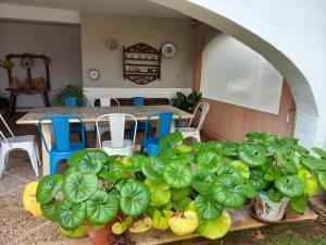 072 Villa Molins - Deniasol