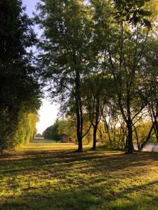 Maisons de vacances Tiny dans la foret et tiny dans le pre : photos des chambres