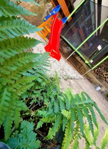 Pensiunea Don Sergio