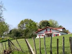 Maison dans la Prairie - Ahetze