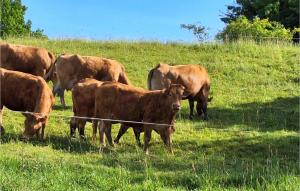 4 Bedroom Nice Home In Huta Wielka