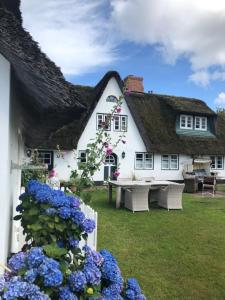 Friesenhof Süderende Apt.4