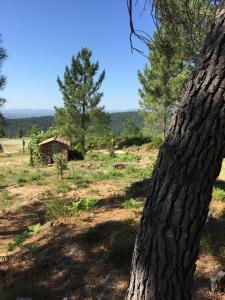 Auberge de la Tour de Brison