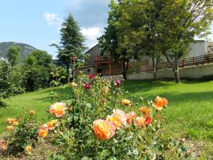 Maisons de vacances Gite en Haute Provence : photos des chambres