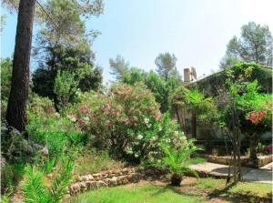 Villas Charming traditional house in Provence hill : photos des chambres