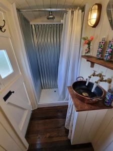 The Delkin Shepherds Huts Castle Combe