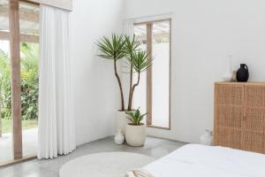 Villa Oeste Modern Tropical 2BDR Villa Canggu