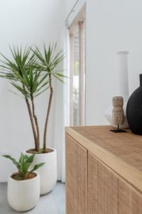 Villa Oeste Modern Tropical 2BDR Villa Canggu