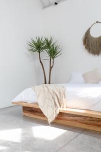 Villa Oeste Modern Tropical 2BDR Villa Canggu