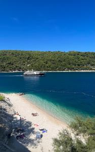 Ferienhaus Luisa Insel Brac - Kamin, Pool, Grill, Olivengrundstück