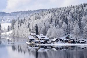 Hotels Hotel-Restaurant Le Lac : photos des chambres