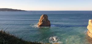 Appartements 2 chambres et canape lit bureau - Marina Plage - Agreable : photos des chambres