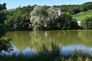 B&B / Chambres d'hotes Chateau Roquehort : photos des chambres