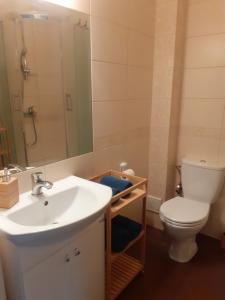 Słoneczny apartament z małym ogródkiem