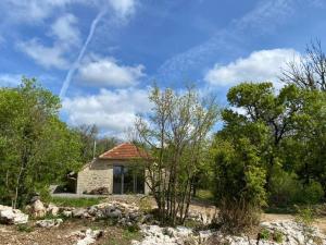 B&B / Chambres d'hotes Le Domaine Quercus : photos des chambres