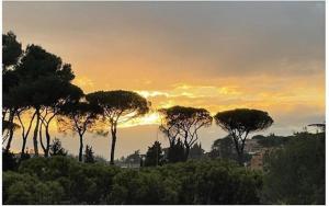 Superb Flat in a green quiet area of Rome, Terrace
